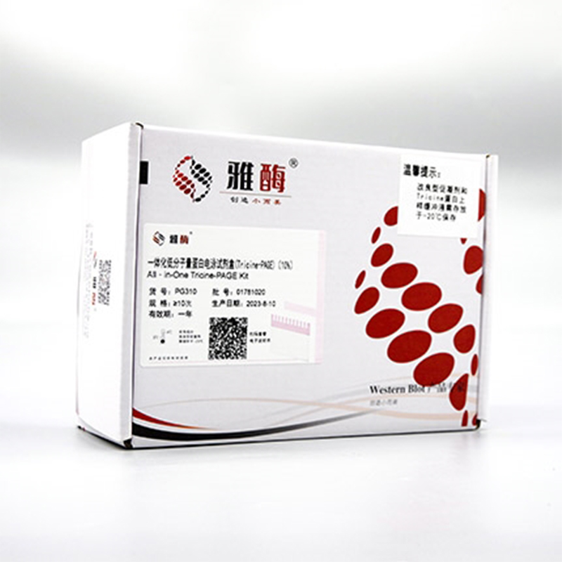 All-in-One Low Range Protein Gel Kit (Tricine-PAGE) (16%)