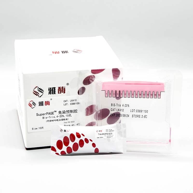 Stain-Free Bis-Tris Gels, 4~20%, 15wells (MOPS  buffer )