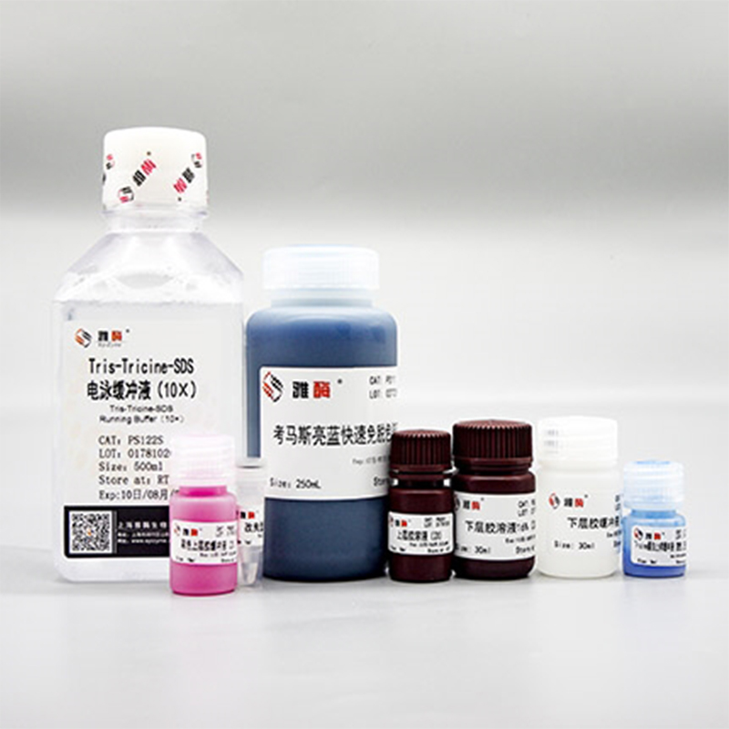 All-in-One Low Range Protein Gel Kit (Tricine-PAGE) (16%)