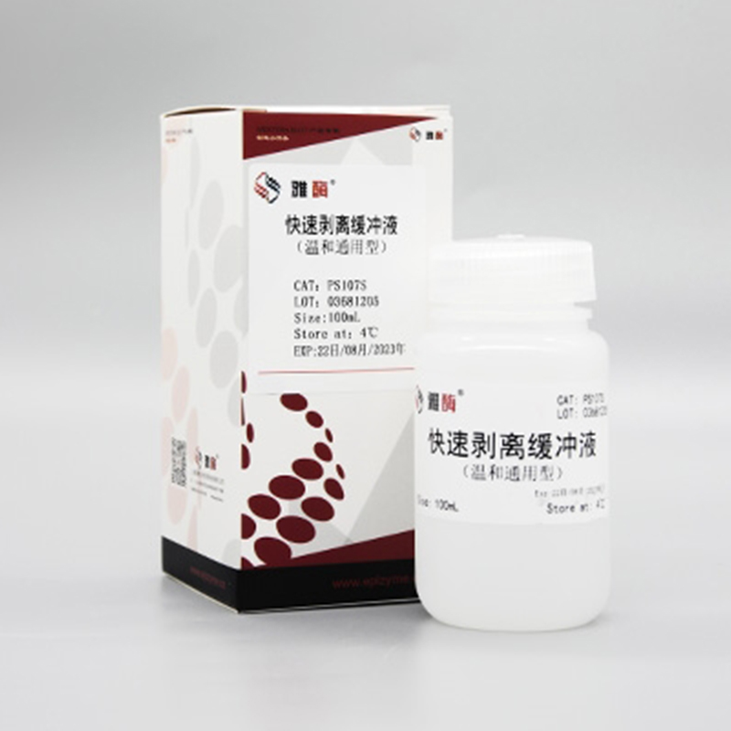 Native SHC Protein ( Shrimp Hemocyanin, Non-Activated, KLH Substitution)