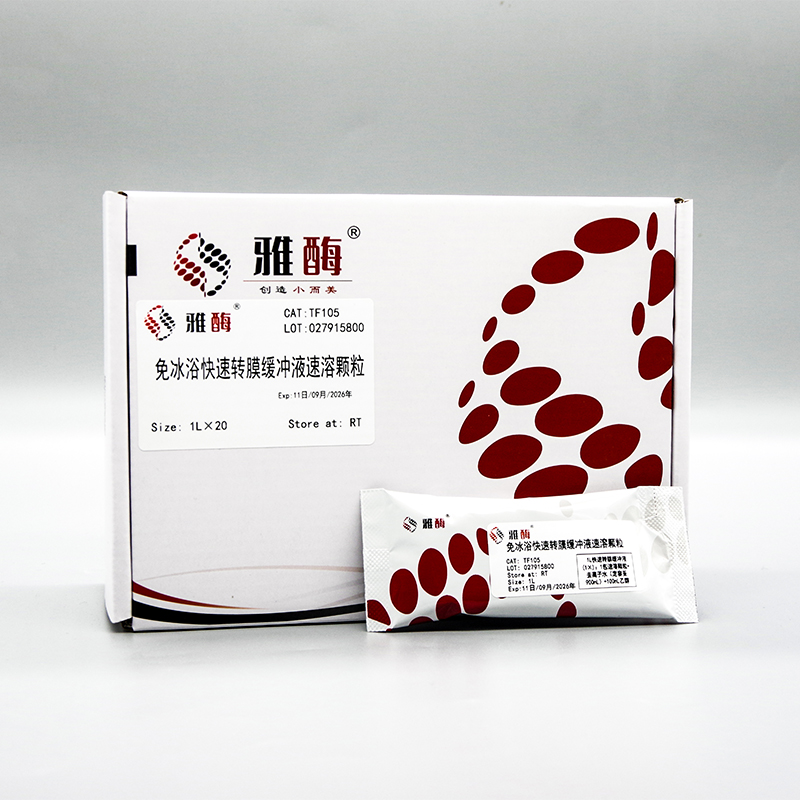Antibody diluent storage strategy after antibody dilution: ensuring stability and activity
